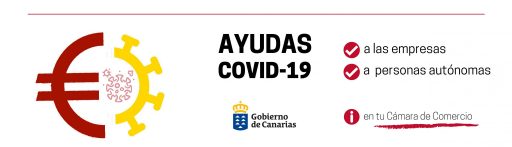 ¿Conoces las ayudas directas del Gobierno de Canarias a las empresas de los sectores más afectados por la crisis derivada de la COVID-19?
